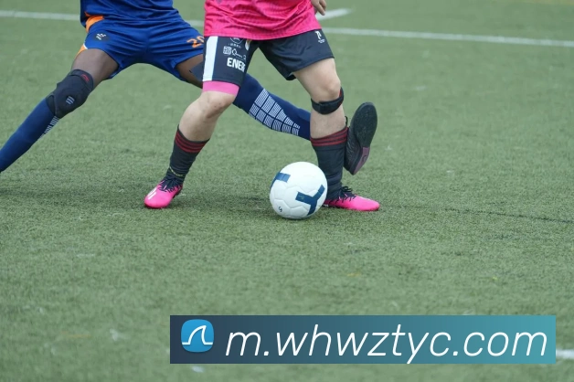 太阳城网站品牌故事