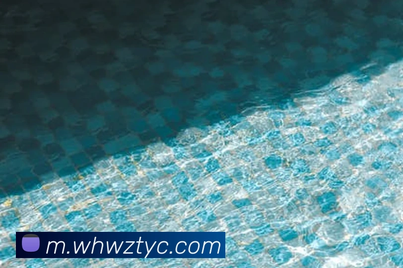 太阳城网站服务体系